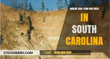 Panning for Gold in South Carolina: Best Locations