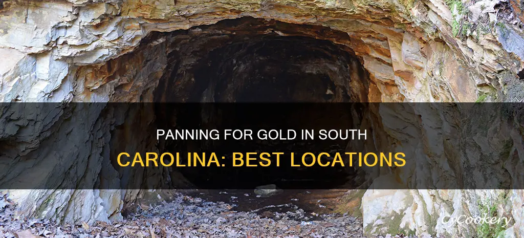 where can I pan for gold in South Carolina