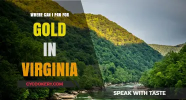 Panning for Gold in Virginia: Best Spots to Try