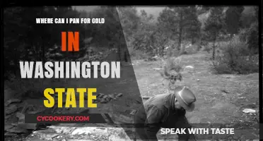 Panning for Gold in Washington: Best Locations