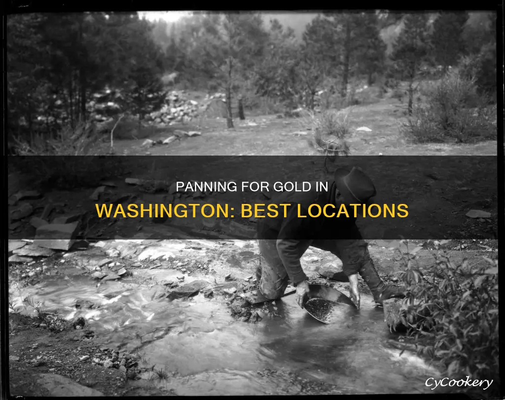 where can I pan for gold in Washington state