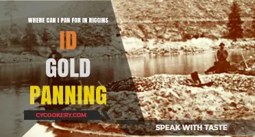 Gold Panning in Riggins, Idaho: Where to Go?