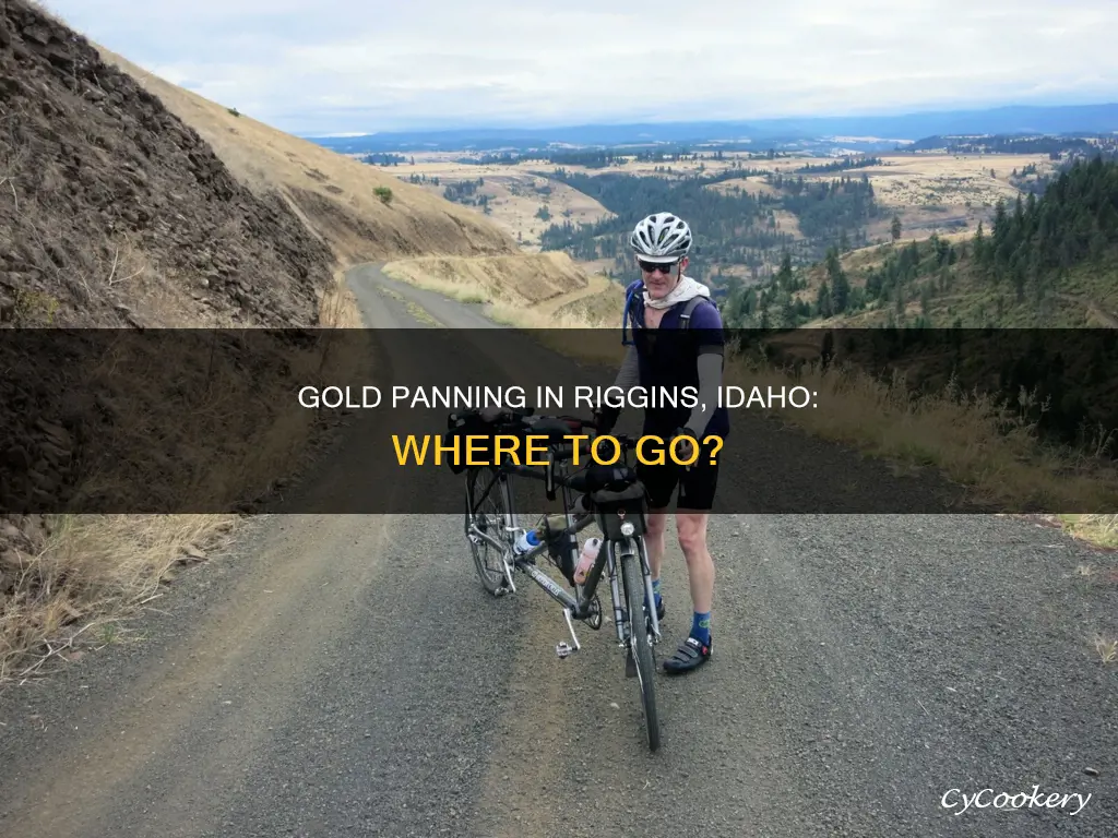 where can I pan for in riggins id gold panning