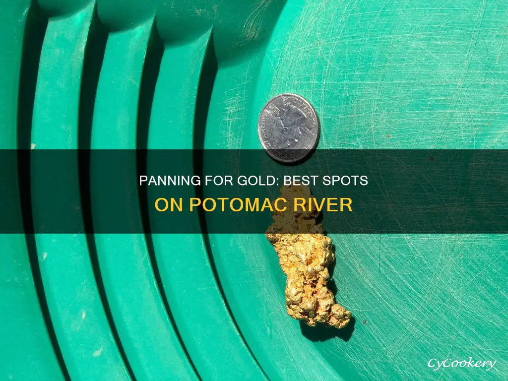 where can I pan in the potamac river