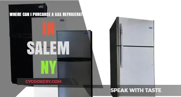 Where to Buy Gas Refrigerators in Salem, NY: Top Options