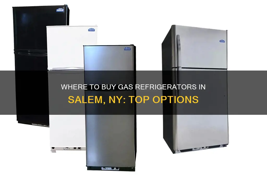 where can i purcahse a gas refrigerator in salem ny