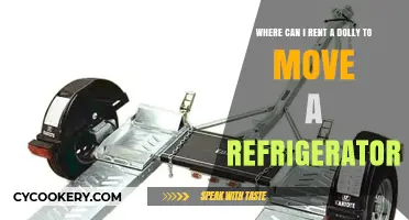 Renting a Dolly for Fridge Moves: Top Locations and Tips