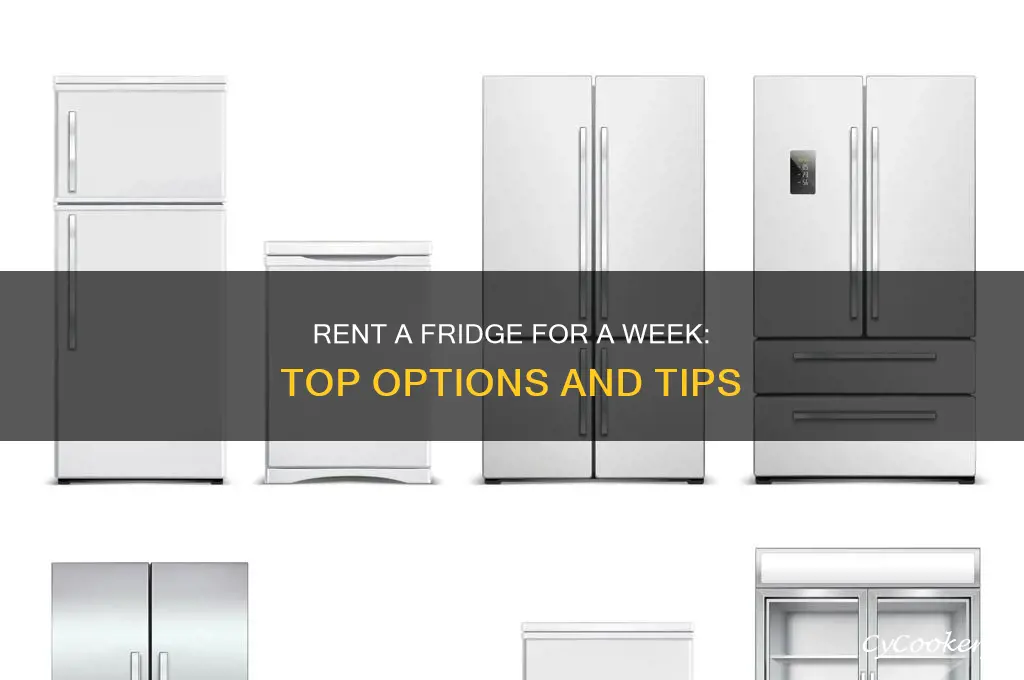 where can i rent a refrigerator for a week