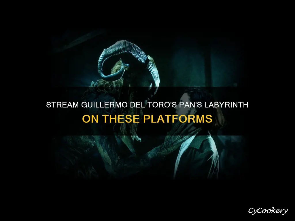 where can I stream pan
