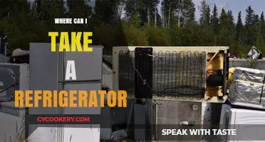 Where to Take Your Old Refrigerator: Eco-Friendly Disposal Options