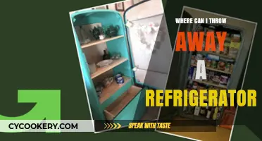Eco-Friendly Disposal: Where to Safely Throw Away Your Old Refrigerator