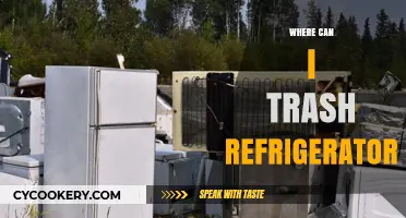 Eco-Friendly Disposal: Where to Safely Trash Your Old Refrigerator