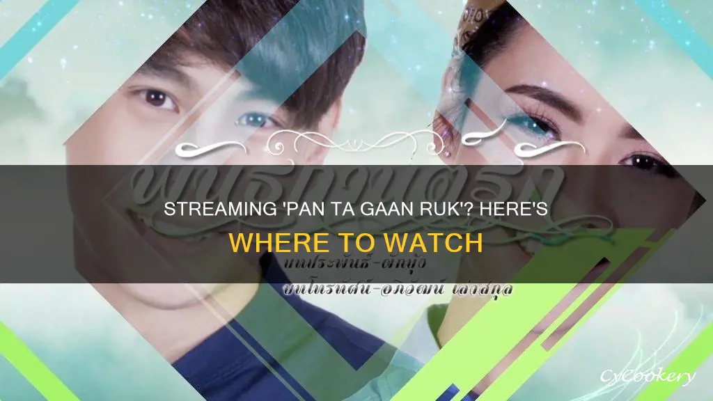 where can I watch pan ta gaan ruk