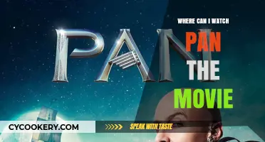 Streaming Options for 'Pan' Movie Explored