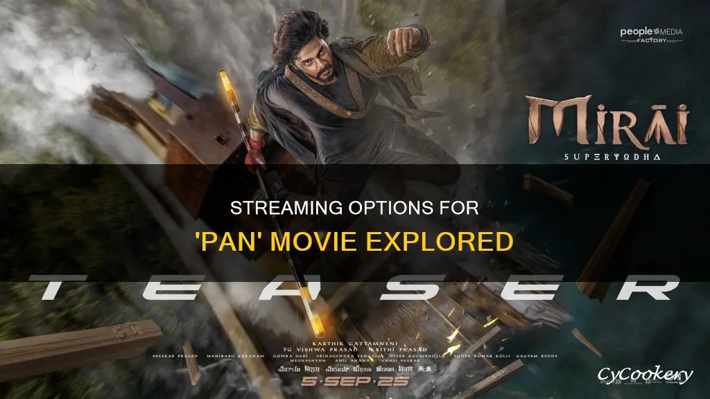 where can I watch pan the movie