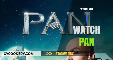Streaming Options for 'Pan