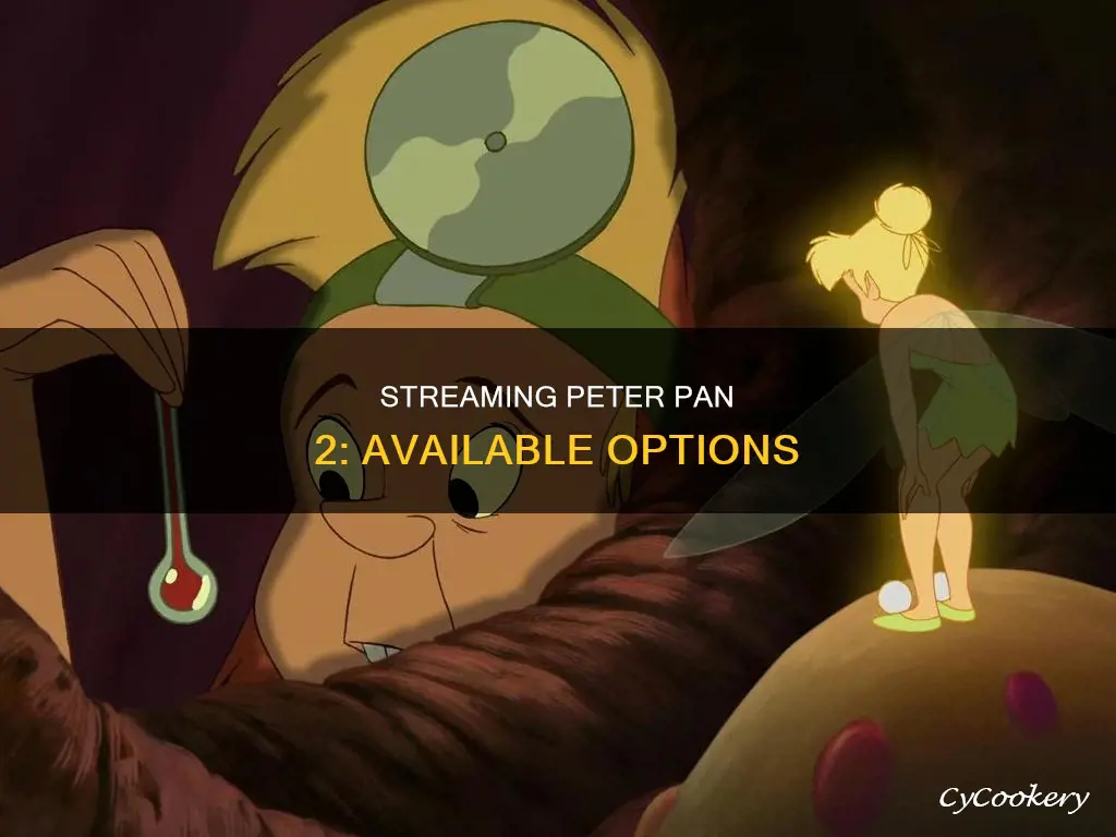 where can I watch peter pan 2