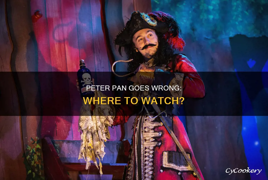 where can I watch peter pan goes wrong