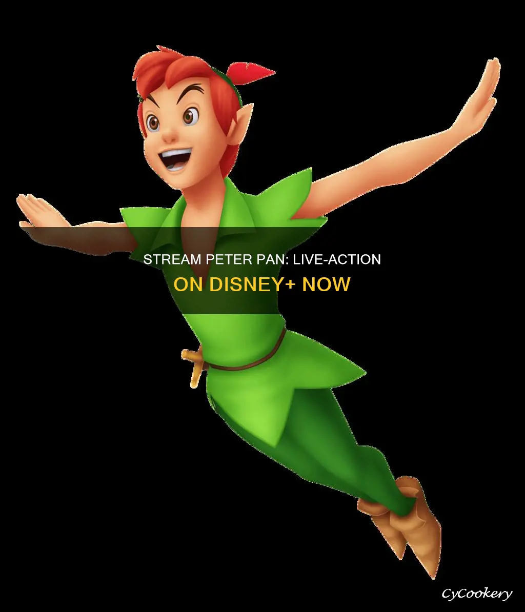 where can I watch peter pan with louis partridge