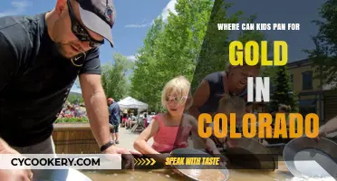 Panning for Gold in Colorado: Best Spots for Kids