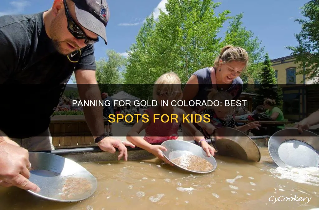 where can kids pan for gold in colorado