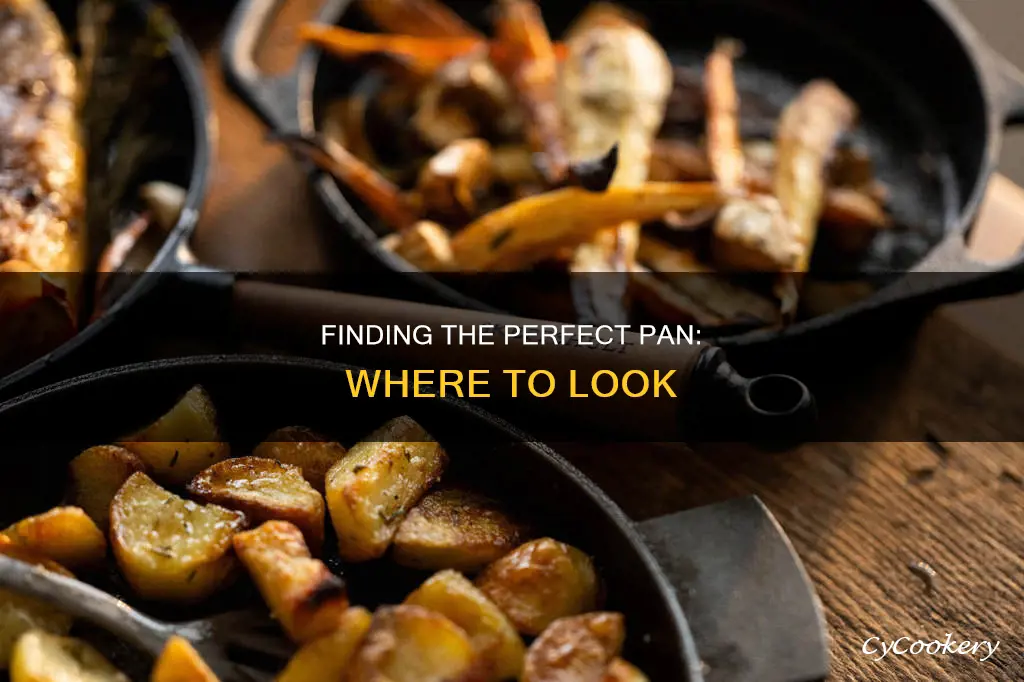 where can pan usually be found