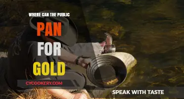 Gold Panning Adventures: Best Public Panning Spots