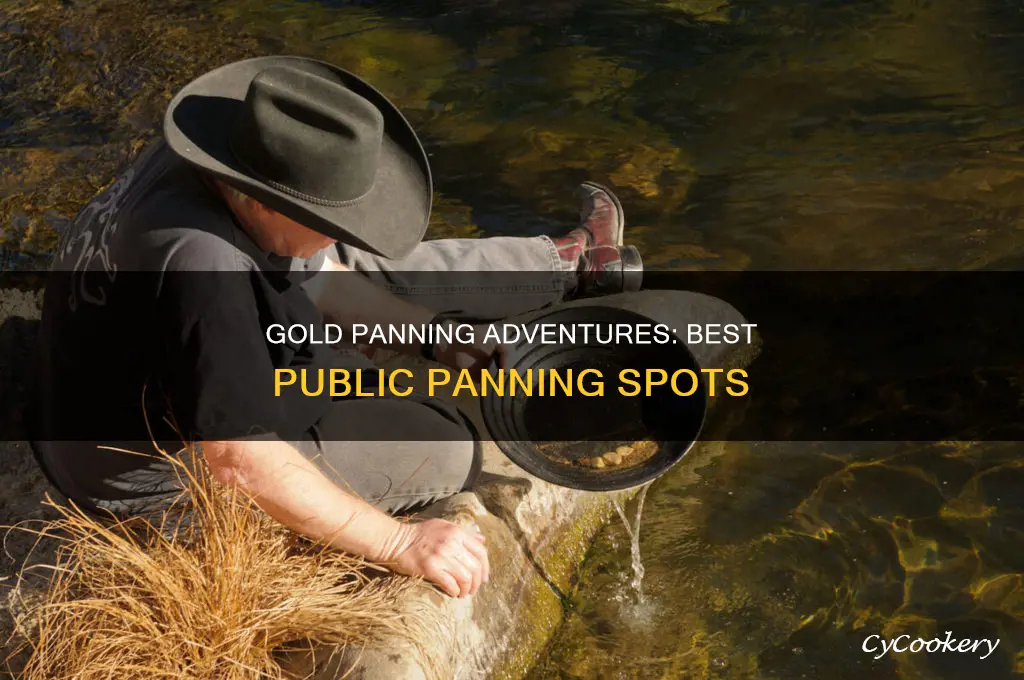 where can the public pan for gold