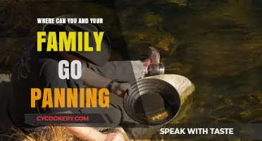Panning for Gold: Family-Friendly Vacation Spots