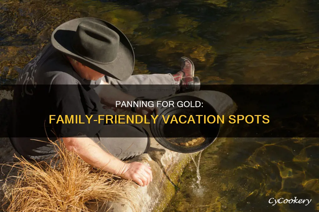 where can you and your family go panning
