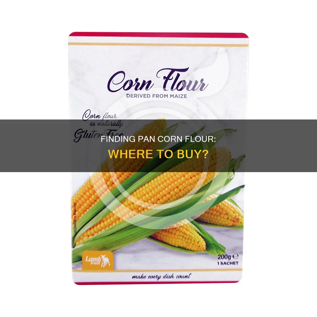 where can you but pan corn flour