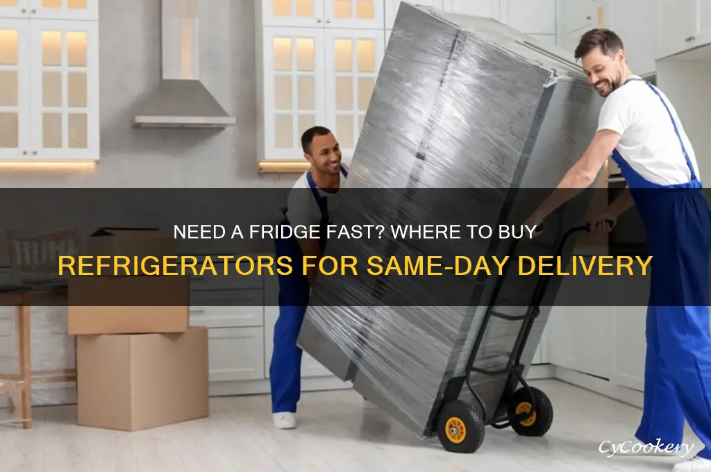 where can you buy a refrigerator same day