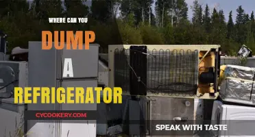Eco-Friendly Disposal: Where to Safely Dump Your Old Refrigerator