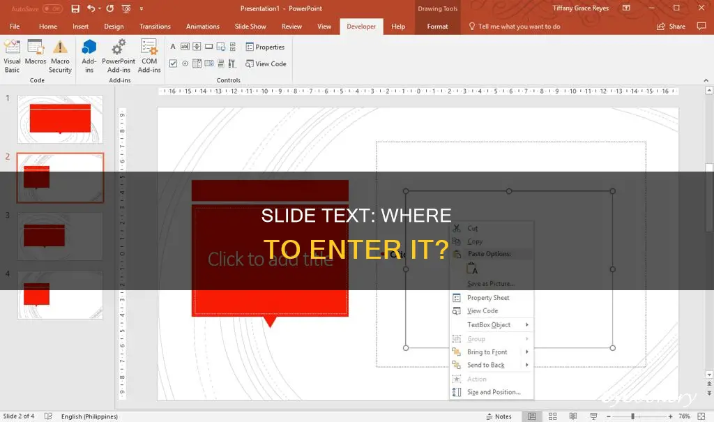where can you enter slide text besides slide pane