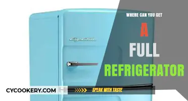 Top Retailers Offering Full-Size Refrigerators for Every Budget and Style