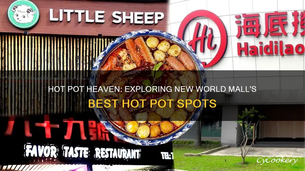 where can you get hot pot in new world mall