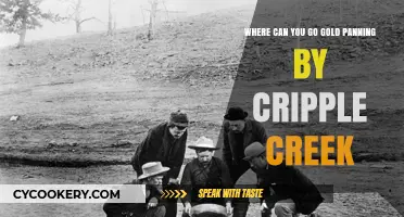 Gold Panning: Cripple Creek's Best Spots