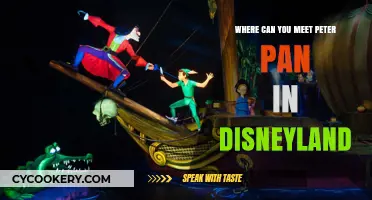 Meeting Peter Pan: Disneyland's Best Spots