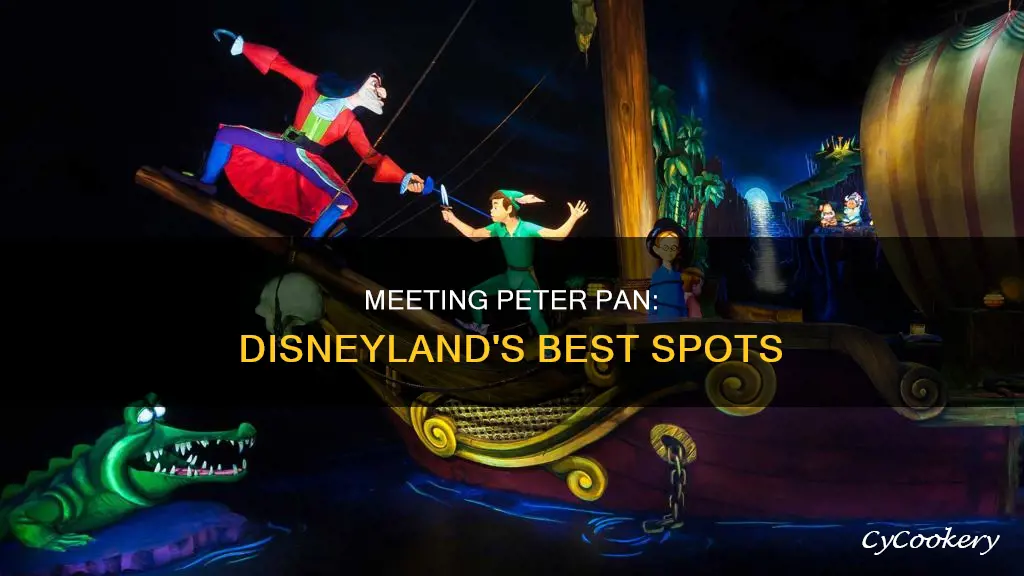 where can you meet peter pan in disneyland