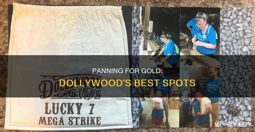 where can you pan for gold in dollywood
