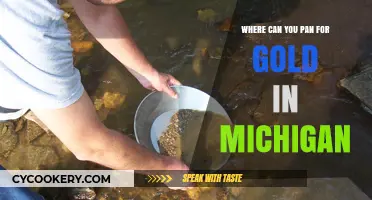 Panning for Gold in Michigan: Best Locations
