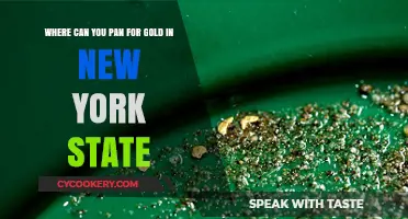 Panning for Gold in New York State: Best Locations