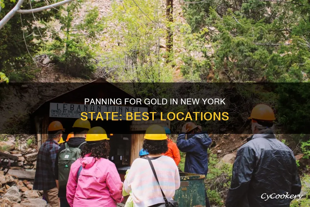 where can you pan for gold in New York state