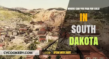 Panning for Gold in South Dakota: Best Locations