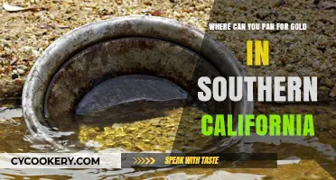 Panning for Gold: Best Southern California Spots