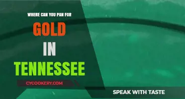 Panning for Gold in Tennessee: Best Locations