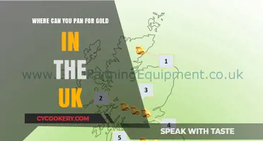 Panning for Gold in the UK: Best Locations