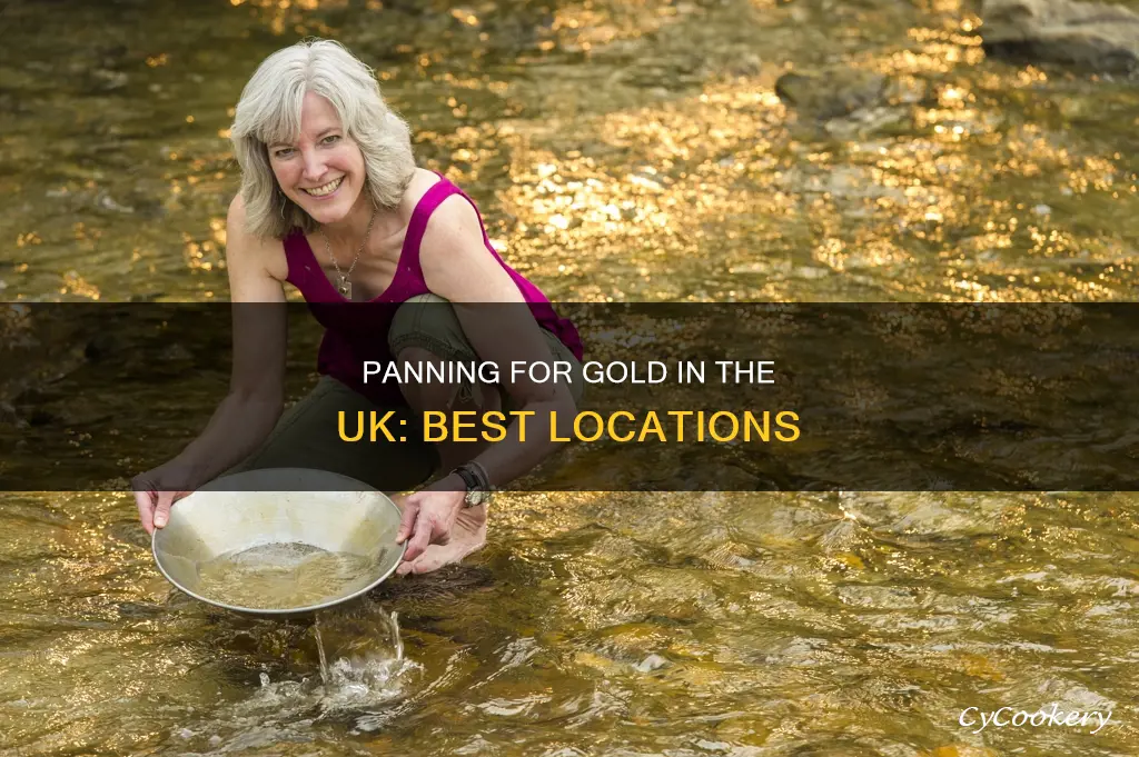 where can you pan for gold in the uk