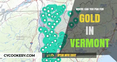Panning for Gold in Vermont: Best Locations
