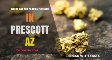 Panning for Gold in Prescott, AZ: Best Locations
